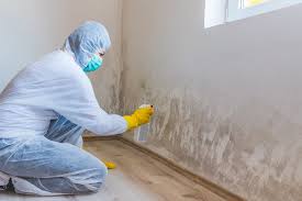 Biohazard Mold Removal in Fremont, CA