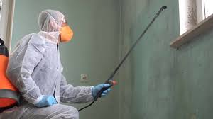 Why You Should Choose Our Mold Remediation Services in Fremont, CA